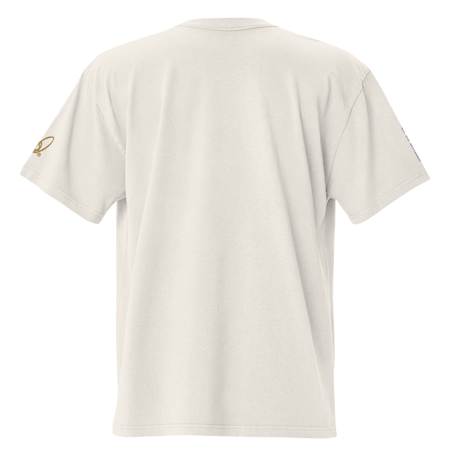 Epic Whizz® Logo Embroidered_Oversized Faded T-shirt