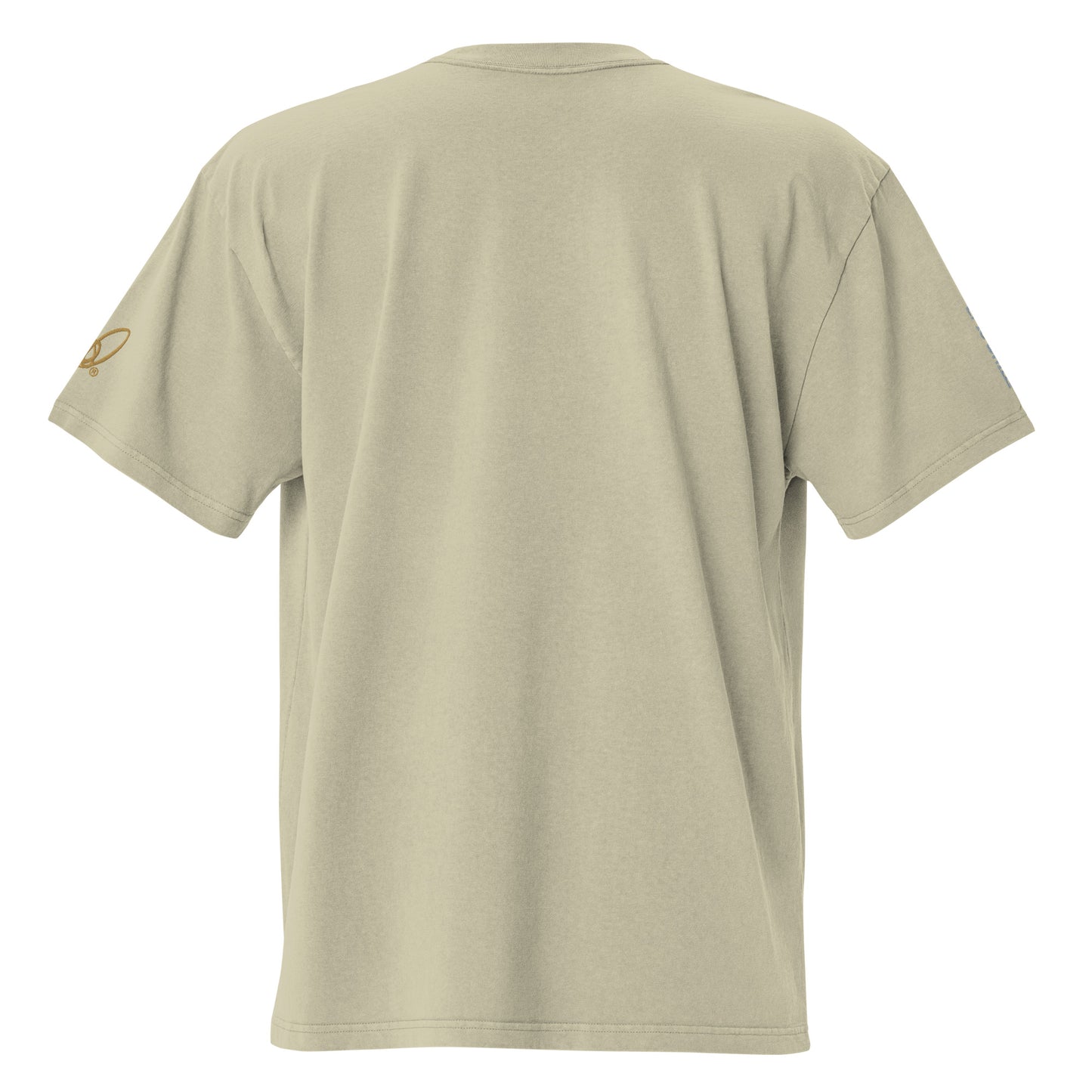 Epic Whizz® Logo Embroidered_Oversized Faded T-shirt