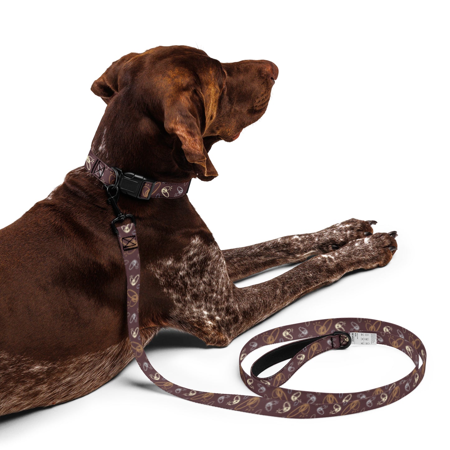 Epic Whizz® Heart_Pattern_Pet Collar & Leash_Cab Sav