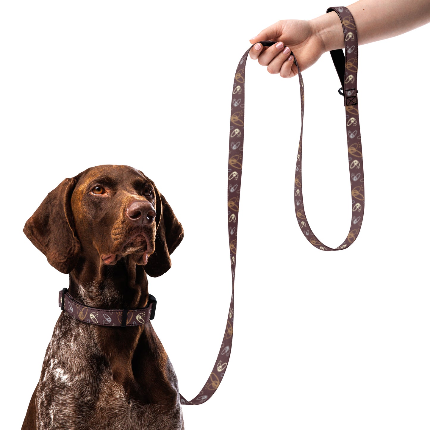 Epic Whizz® Heart_Pattern_Pet Collar & Leash_Cab Sav