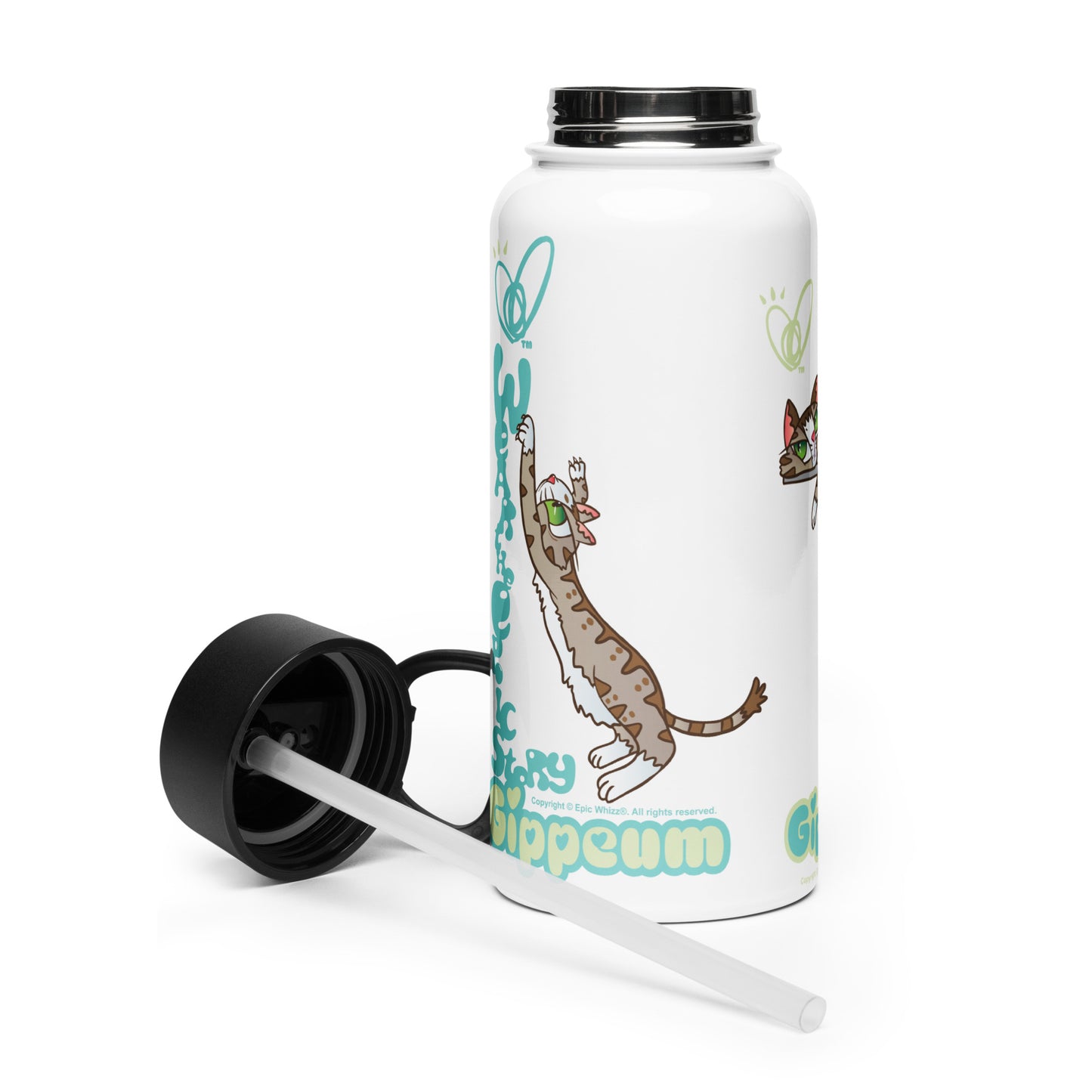 Gippeum_Stainless Steel Water Bottle with a Straw Lid